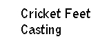 Cricket Feet Casting